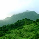 Para la Naturaleza comenzará a ofrecer recorridos en El Yunque