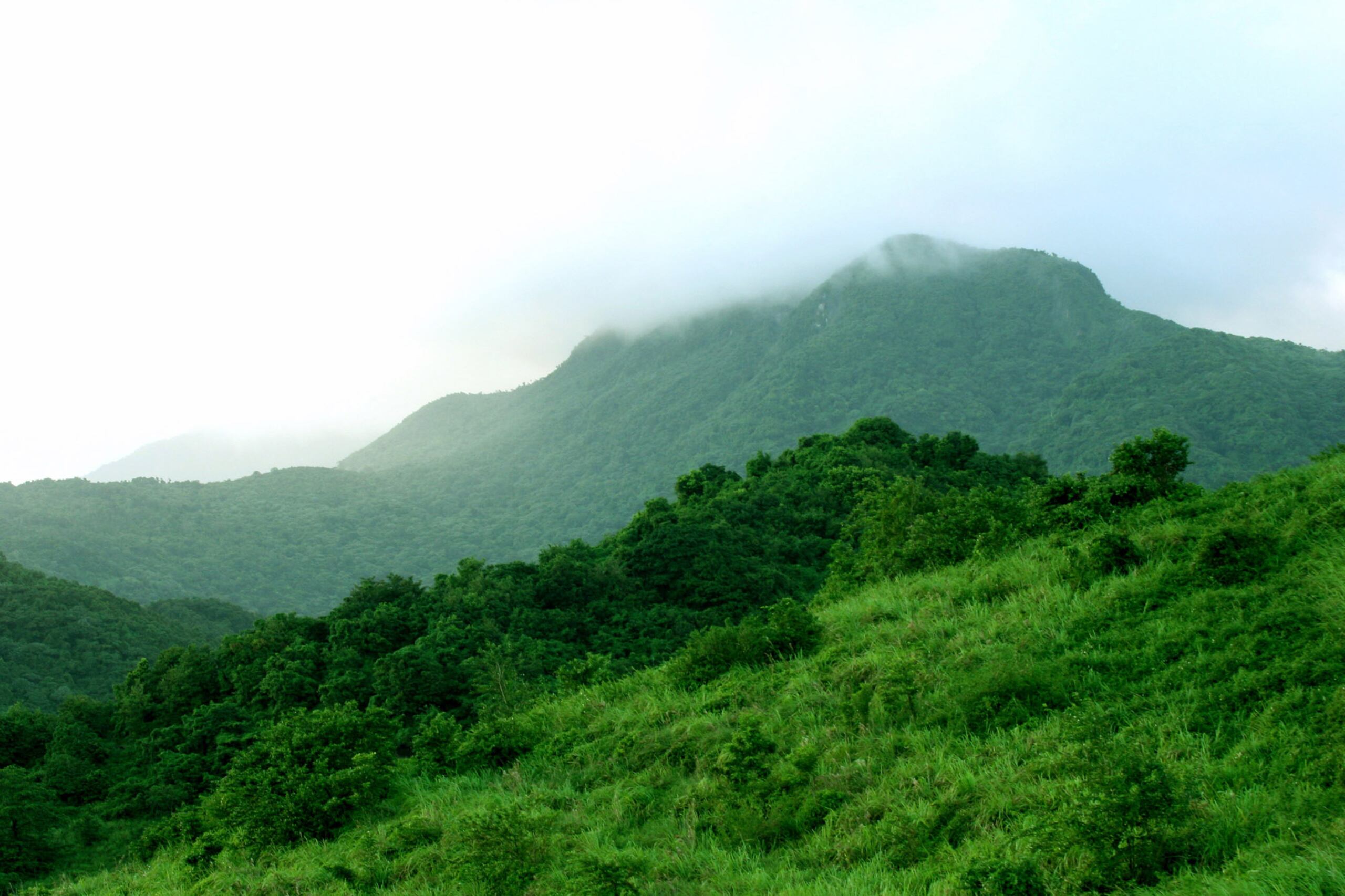 Vista de El Yunque desde área rural cercana a Río Blanco.