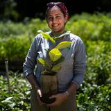 Para la Naturaleza sigue puesta pa’ proteger la diversidad biológica de Puerto Rico