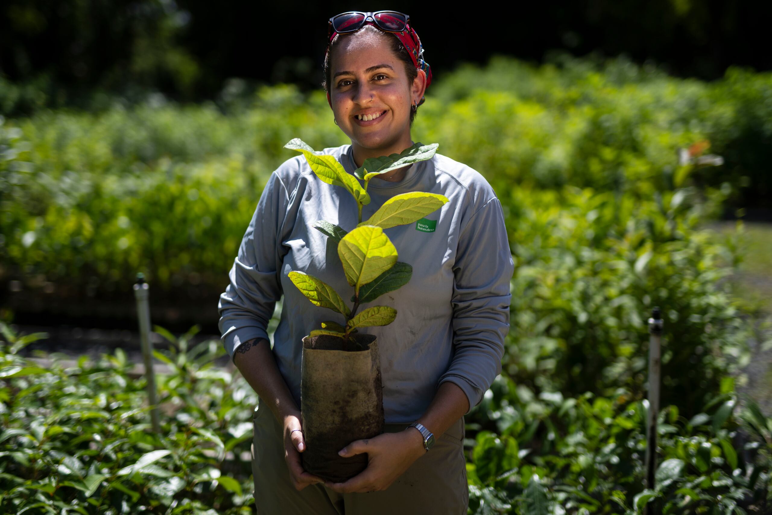 Sherlymarie Nieves Chévere, oficial de reforestación y voluntarios de la organización Para la Naturaleza, resaltó la importancia de reforestar con árboles nativos y endémicos como recurso de mitigación  ante escenarios de huracanes e inundaciones.