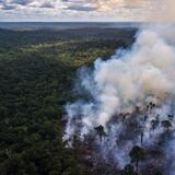 La Amazonia brasileña registra en agosto los mayores incendios en más de una década 