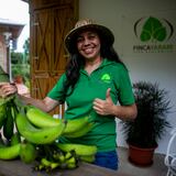 En la Finca Yarari de Jayuya te enseñan a vivir mejor 