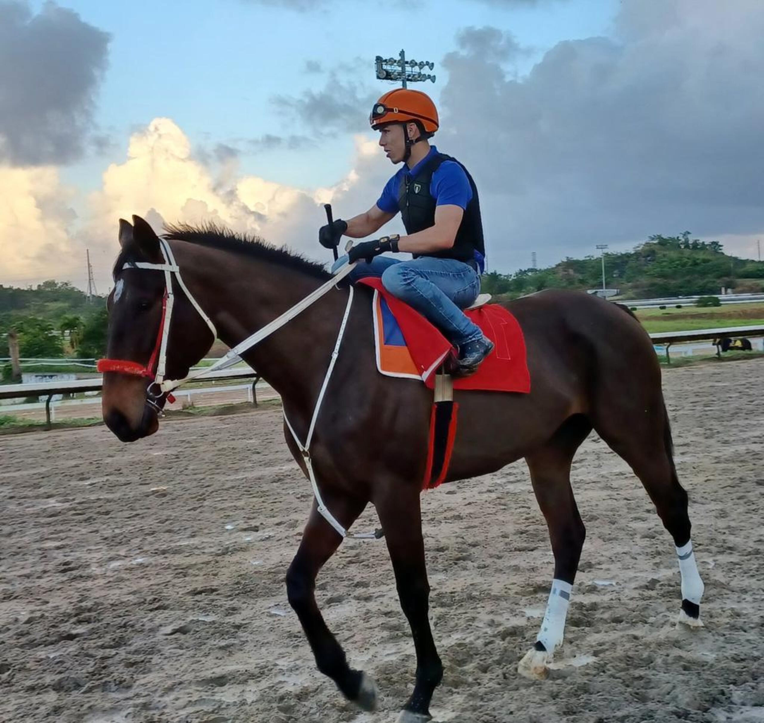 Irad Ortiz trabaja ejemplares en Camarero en los días posteriores a su participación en el domingo de la Serie Hípica del Caribe a principios de mes.