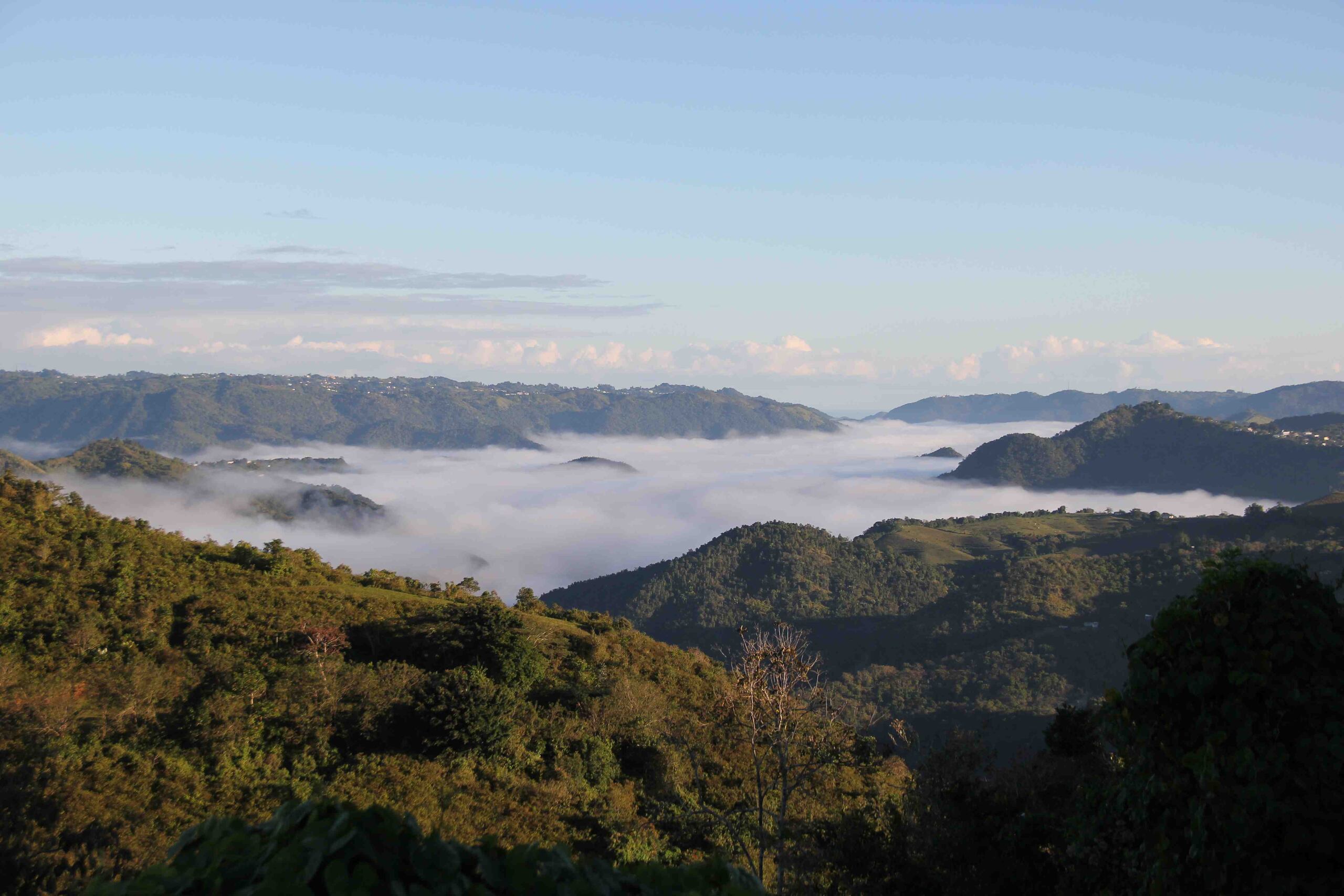 Imagen de la neblina que se aprecia en las montañas aiboniteñas.