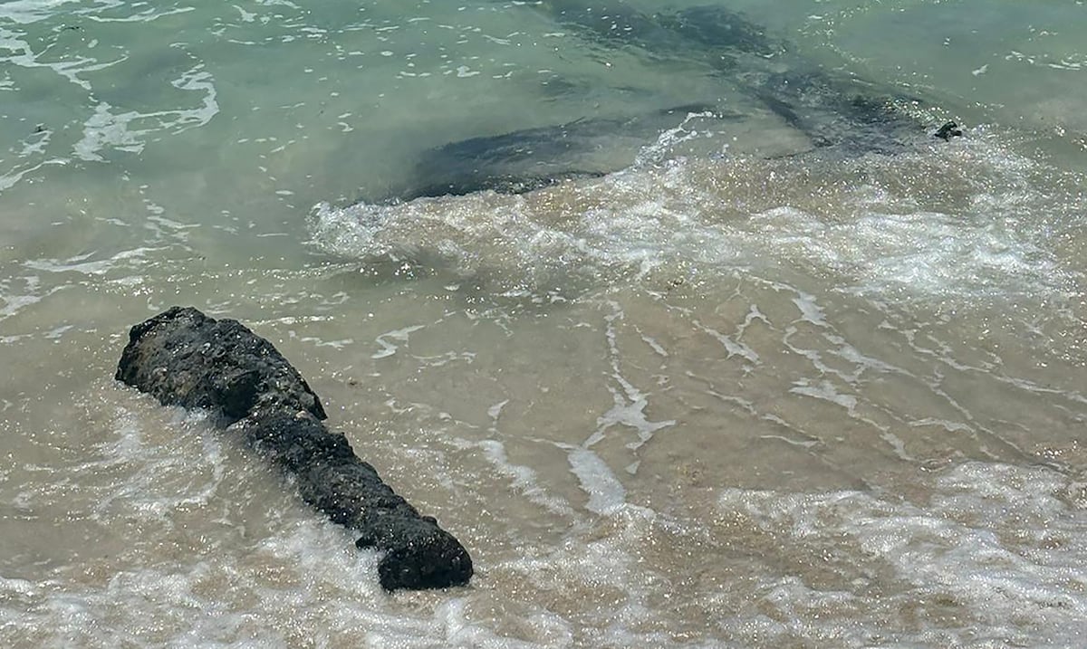 Vieques is seeking experts to evaluate the remains of an 18th-century boat found on its beaches