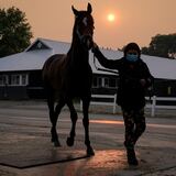 Suspenden las carreras en Belmont Park a dos día del Belmont Stakes debido a los incendios forestales en Canadá