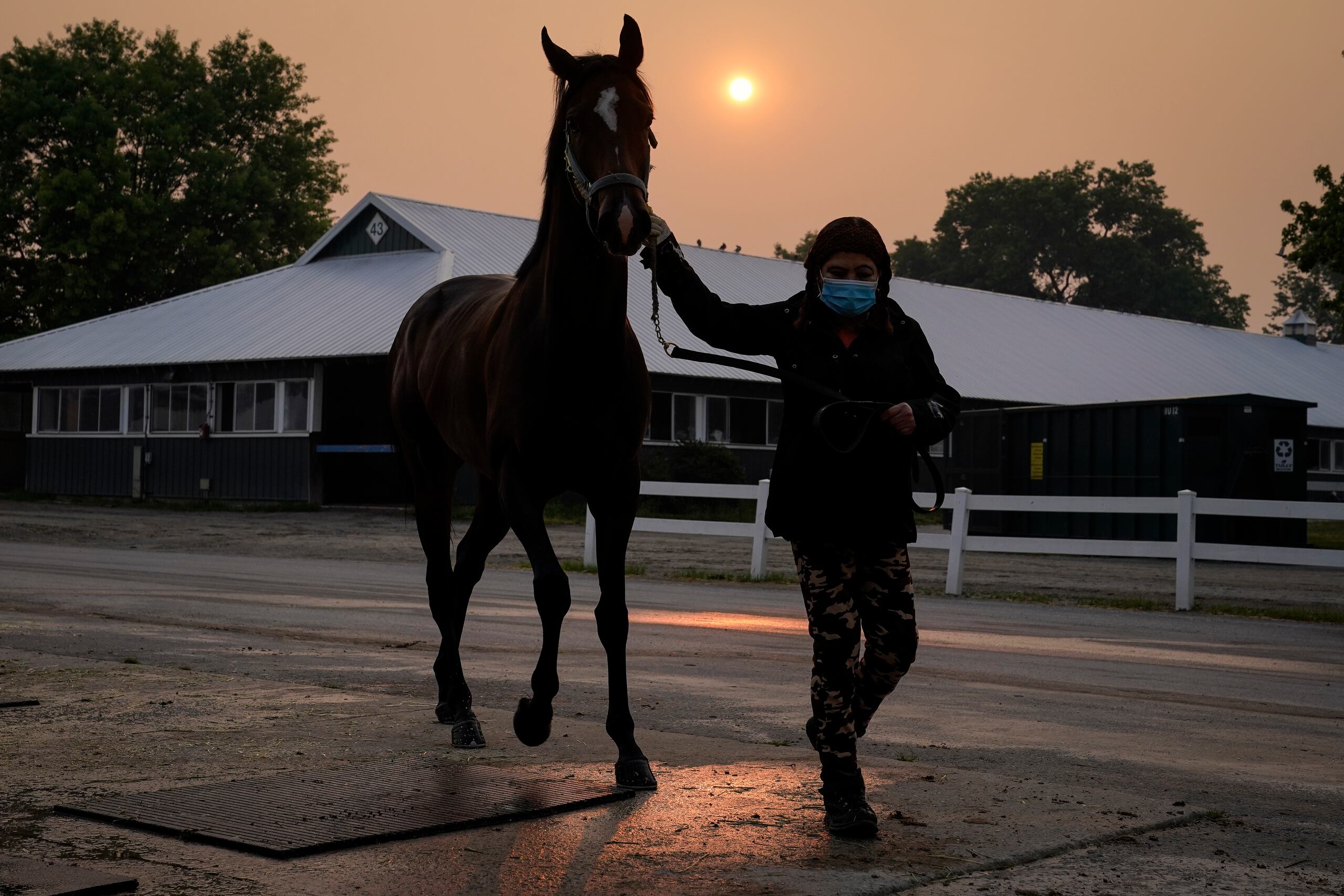 Una cuidadora usa máscara mientras lleva a un caballo de regreso a los establos mientras el sol se oscurece al fondo debido a la neblina causada por los incendios forestales del norte antes de la carrera de Belmont Stakes, el jueves 8 de junio de 2023, en Belmont Park en Elmont, Nueva York. Los entrenamientos y carreras fueron canceladas debido a la mala calidad del aire.