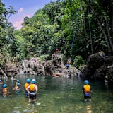 Sumérgete en la belleza de la naturaleza 