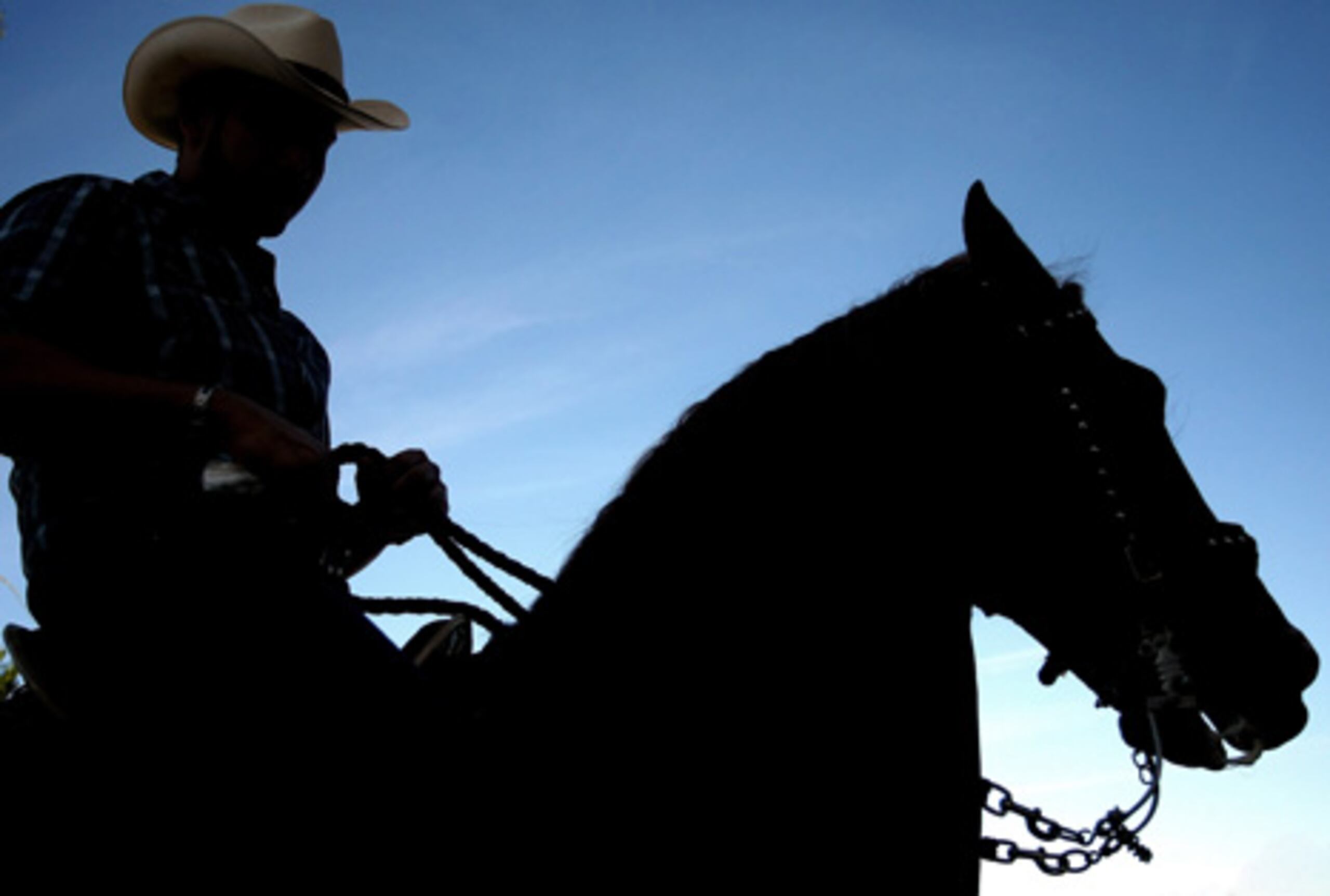 En San Sebastián un hombre participaba de una cabalgata , cuando su esposa mató al caballo tratando de atropellarlo a él. (Archivo)