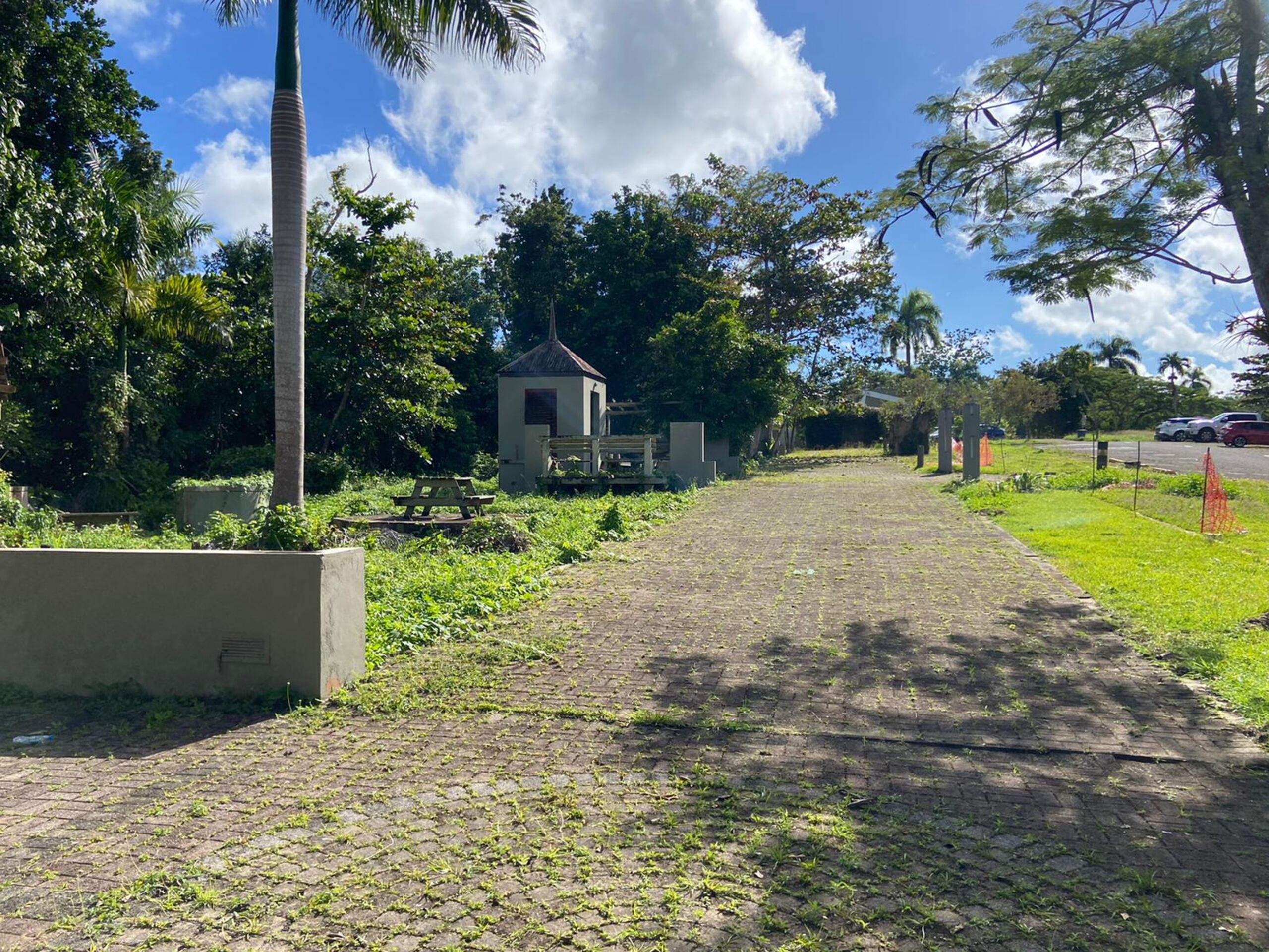 Durante la inspección ocular, se destacó la falta de empleados para mantener las áreas verdes y dudas sobre recursos asignados para atender el mantenimiento del Parque de las Cavernas del Río Camuy.