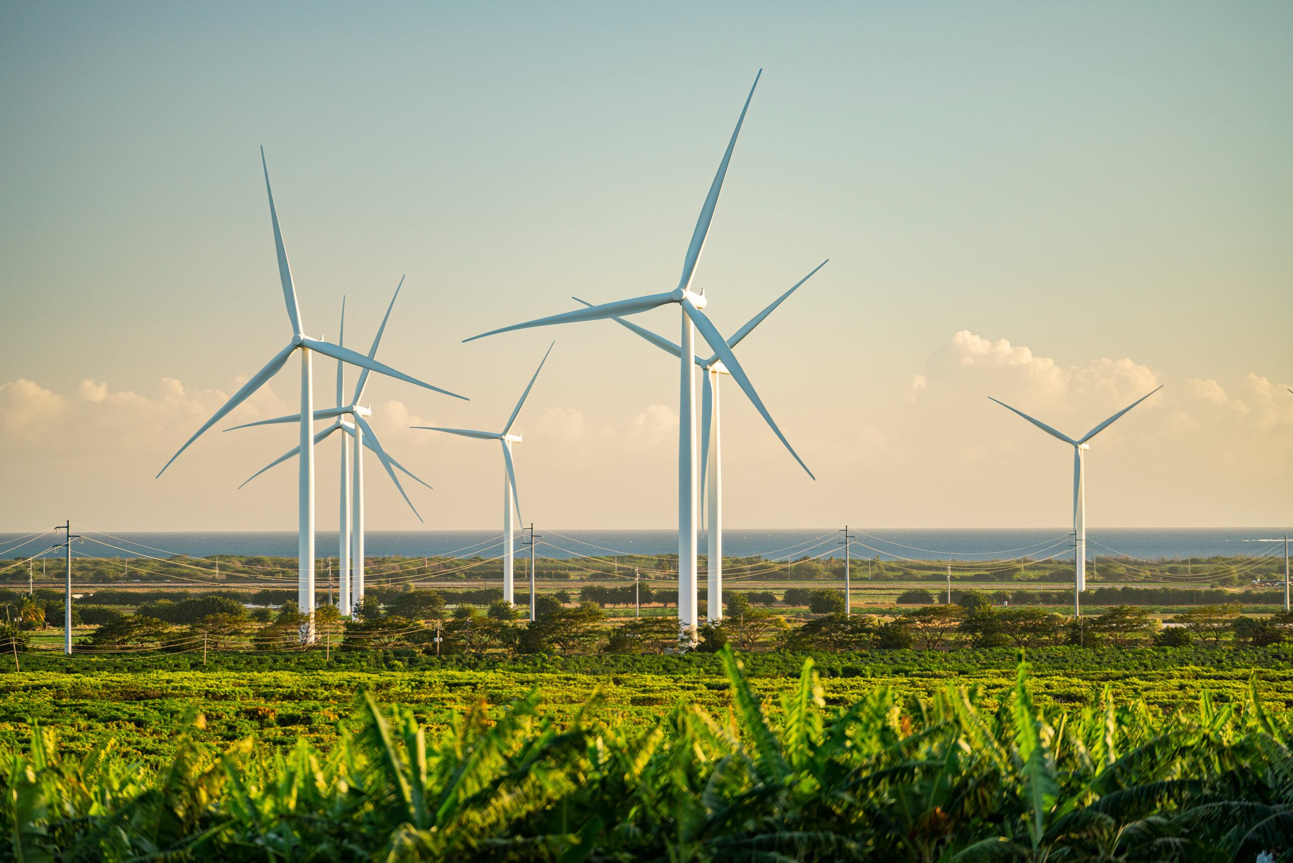 En octubre de 2022, luego del devastador huracán Fiona, el presidente estadounidense, Joe Biden, anunció el Equipo de Modernización y Recuperación de la Red Eléctrica de Puerto Rico para trabajar con el gobierno local y federal para identificar y atender los impedimentos para agilizar el despliegue de infraestructura.