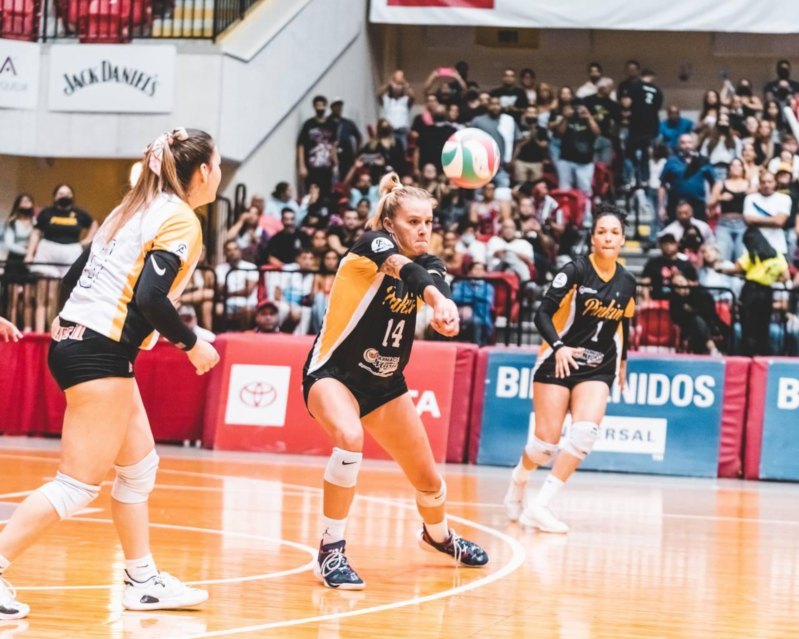 Las Pinkin fueron uno de solo cinco equipos que jugaron en el pasado torneo de Voleibol Superior.