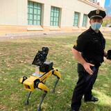 Perros robot de policía para detectar fiebre en indigentes