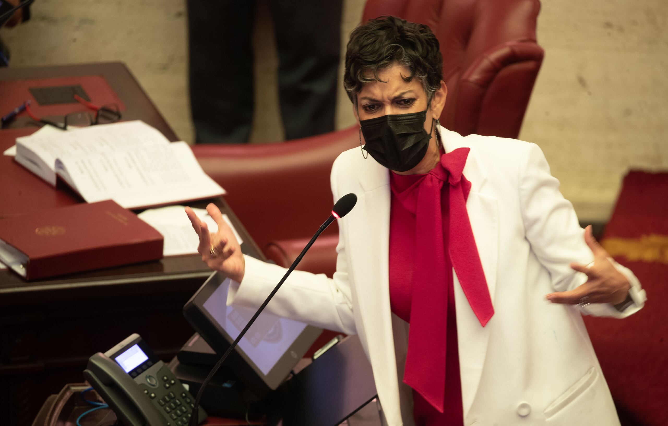 La vicepresidenta del Partido Independentista Puertorriqueño, María de Lourdes Santiago Negrón.