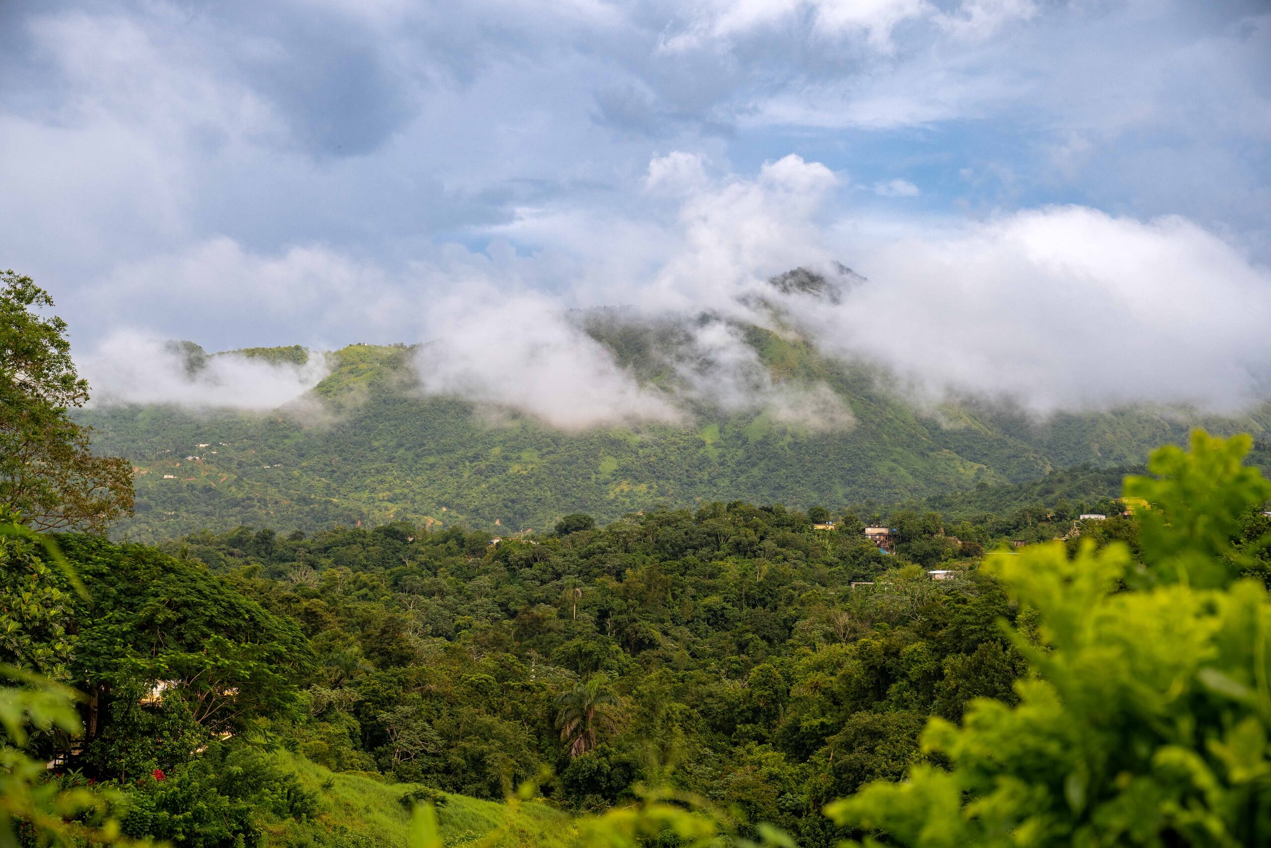 En Utuado se registró una temperatura preliminar de 60 grados Fahrenheit.