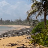 Localizan cadáver a orillas de la playa en Piñones