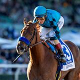 John Velázquez habla sobre su talentoso pero distraído caballo para el Preakness