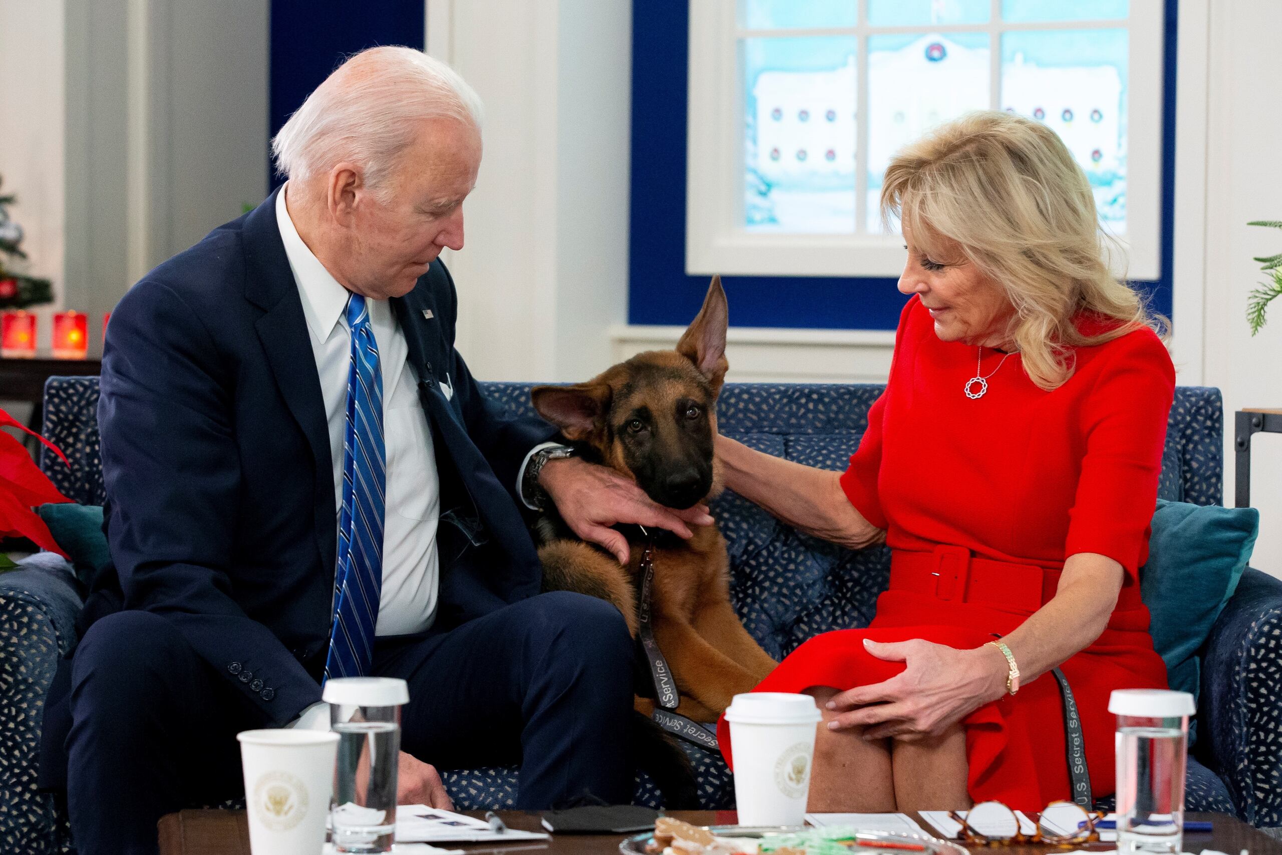 La pareja presidencial dio su mensaje a las tropas sentados en un sofá azul en el que también estaba la nueva mascota de la Casa Blanca: un cachorro de la raza pastor alemán que se llama Commander.