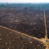 Brasil da por concluido despliegue militar en Amazonia