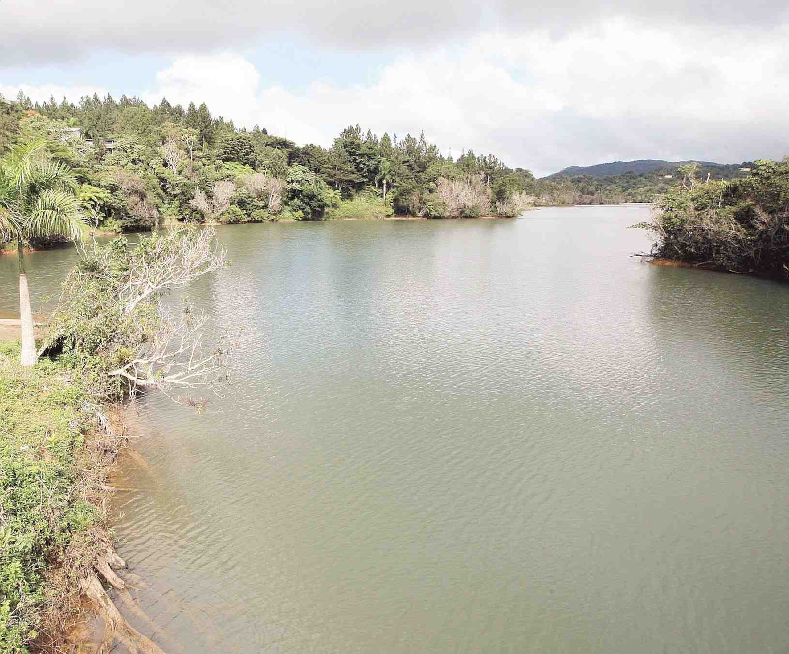 El hallazgo se produjo a las 9:20 a.m., a orillas del Lago Carite, (en la foto) embalse de la Autoridad de Acueductos y Alcantarillados. (Archivo / GFR Media)