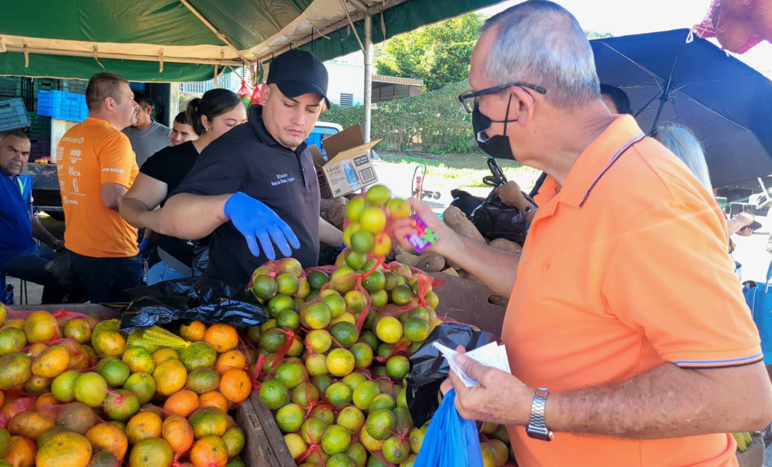 Apio, ñame, yautía, calabaza, china, malanga, ajíes, pimientos, repollo, lechuga, piña, recao, cilantrillo, melón y guineo son solo algunos de los alimentos que salen de nuestra tierra.