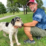 Increíble encuentro de perra desaparecida durante dos meses en Missouri
