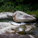 Un tesoro en el Río Saliente