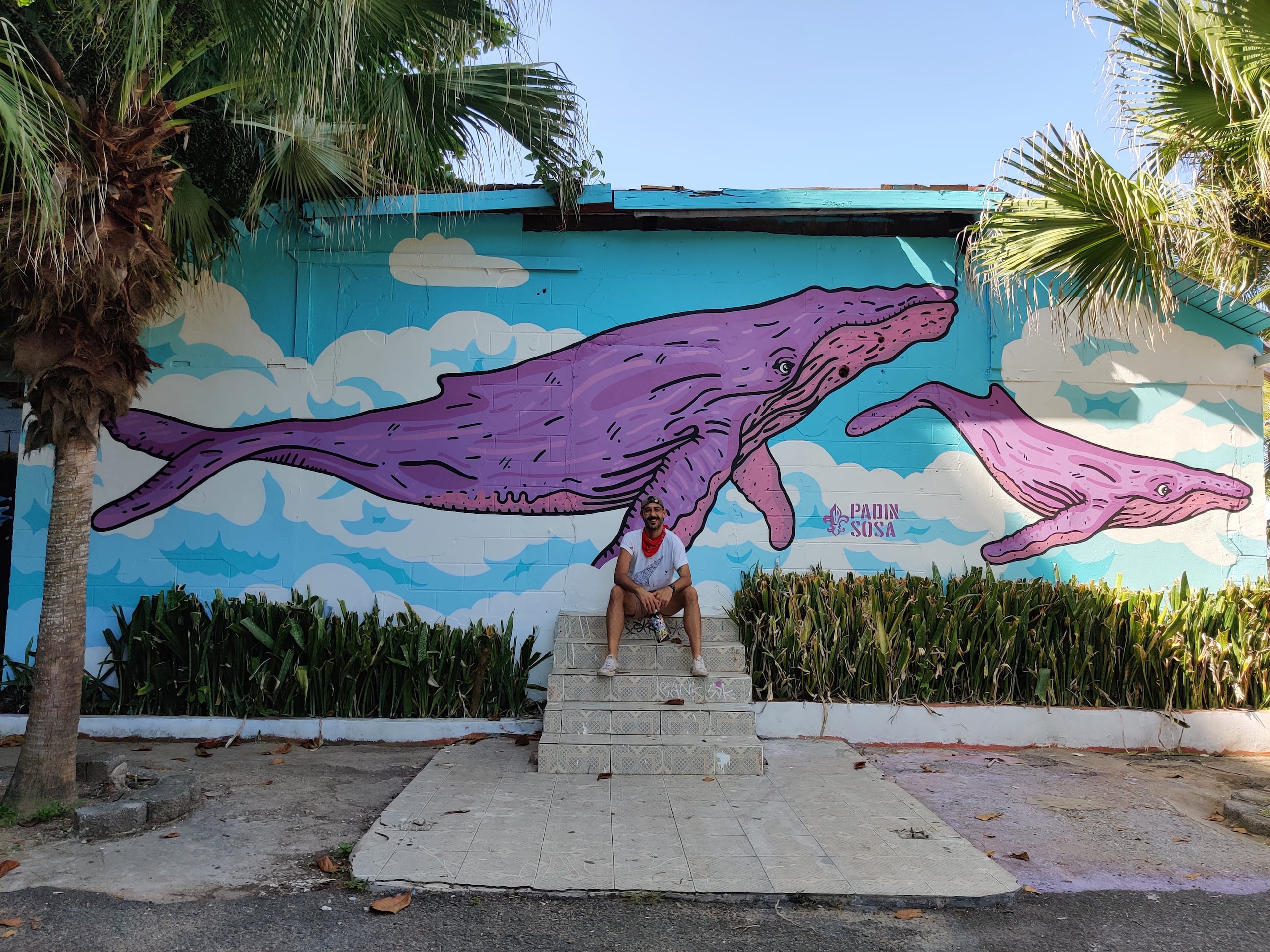 Mural en la entrada del Túnel Guajataca.