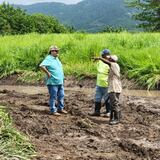 Agricultores de Maunabo celebran limpieza de canales de drenaje en sus fincas