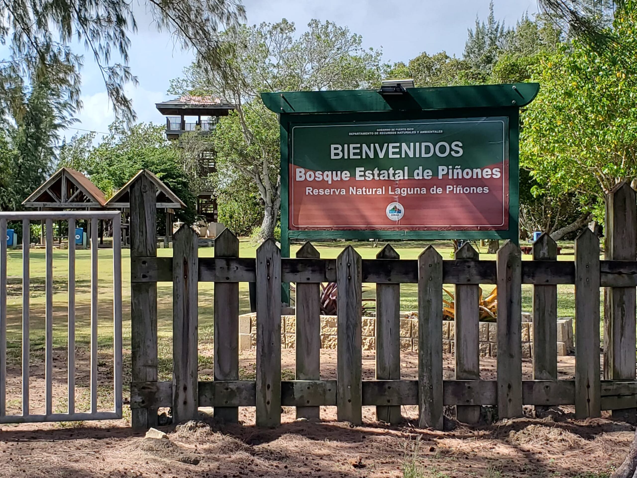 El acuerdo para manejar el Bosque Estatal de Piñones se produce como antesala al Día Internacional del Planeta Tierra.