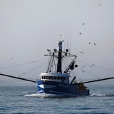 Barco pesquero español se hunde en aguas al este de Canadá