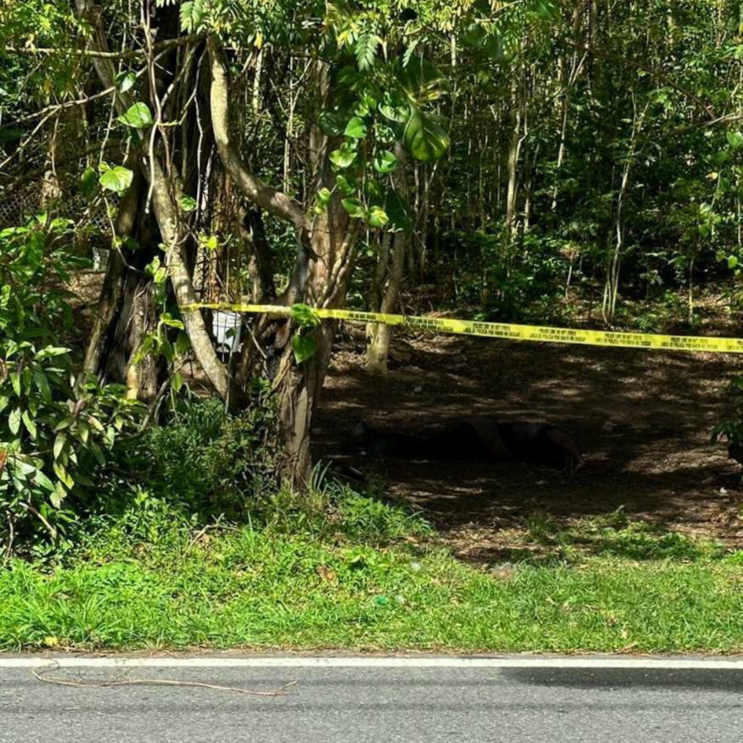 El cadáver en estado de descomposición de un hombre fue encontrado a 25 pies de distancia de la orilla de la carretera PR-851 en el kilómetro 4.0 del barrio La Gloria, en Trujillo Alto.