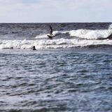 Estados Unidos advierte de condiciones “peligrosas” para bañistas en playas salvadoreñas 