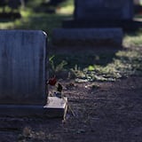 Ciudadana resulta herida al caer en tumba de un cementerio