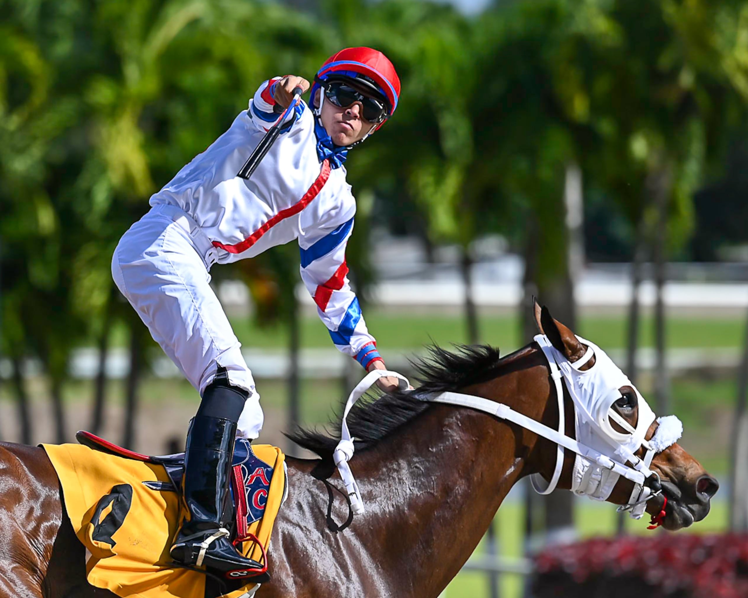 El aprendiz Axel Concepción señala a las graderías luego de ganar debutando en el programa del domingo en el hipódromo Camarero, donde los apredices debutaron en carreras exclusivas para los de su clase o ante jinetes de primera.