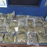 Incautan 18 libras de marihuanas en residencia abandonada