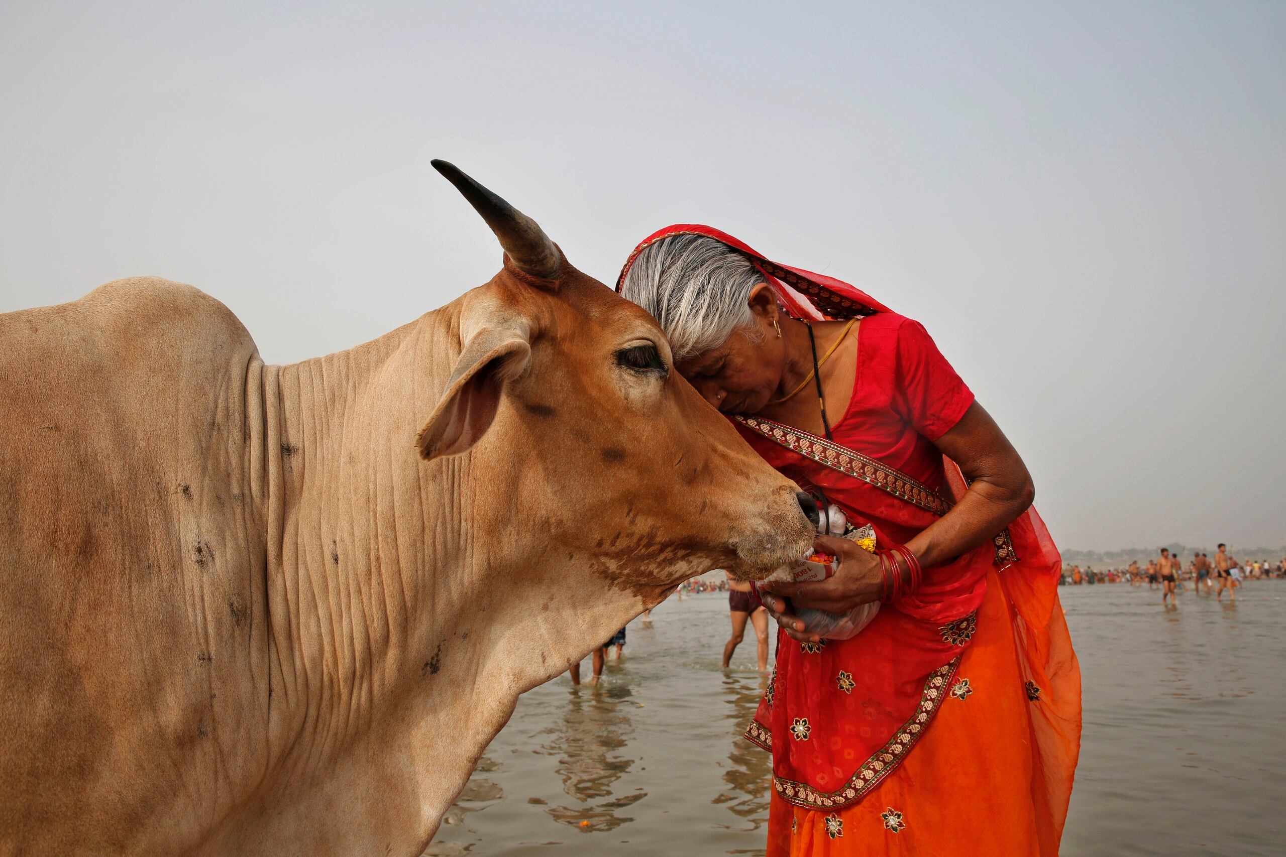 El gobierno nacionalista hindú liderado por el primer ministro, Narendra Modi, ha tomado medidas que intentan consolidar el hinduismo a costa de la tradición secular de una nación conocida por su diversidad.