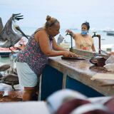 Galápagos es ejemplo mundial de desarrollo de sistemas de alimentos de mar 