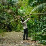 El Yunque iniciará reapertura parcial de áreas recreativas en Río Grande