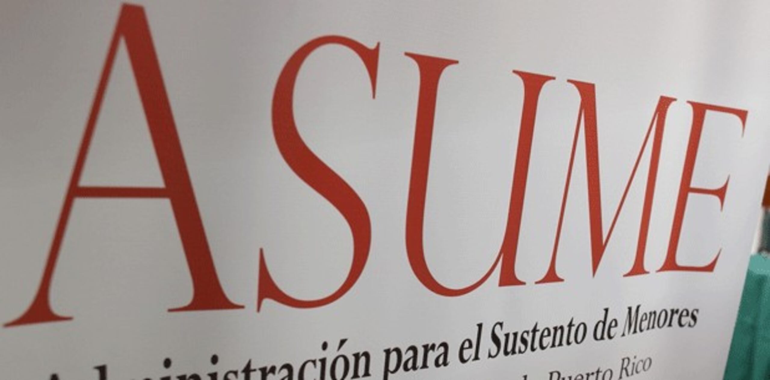 La primera propuesta enfrentó la oposición de Asume y la OAT, que en ponencias separadas ante la Comisión de Derechos Civiles, Participación Ciudadana y Economía Social del Senado, coincidieron que la misma es contraria al ordenamiento jurídico del país. (Archivo)