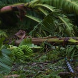 Comienzan a procesar reclamaciones para levantar la agricultura