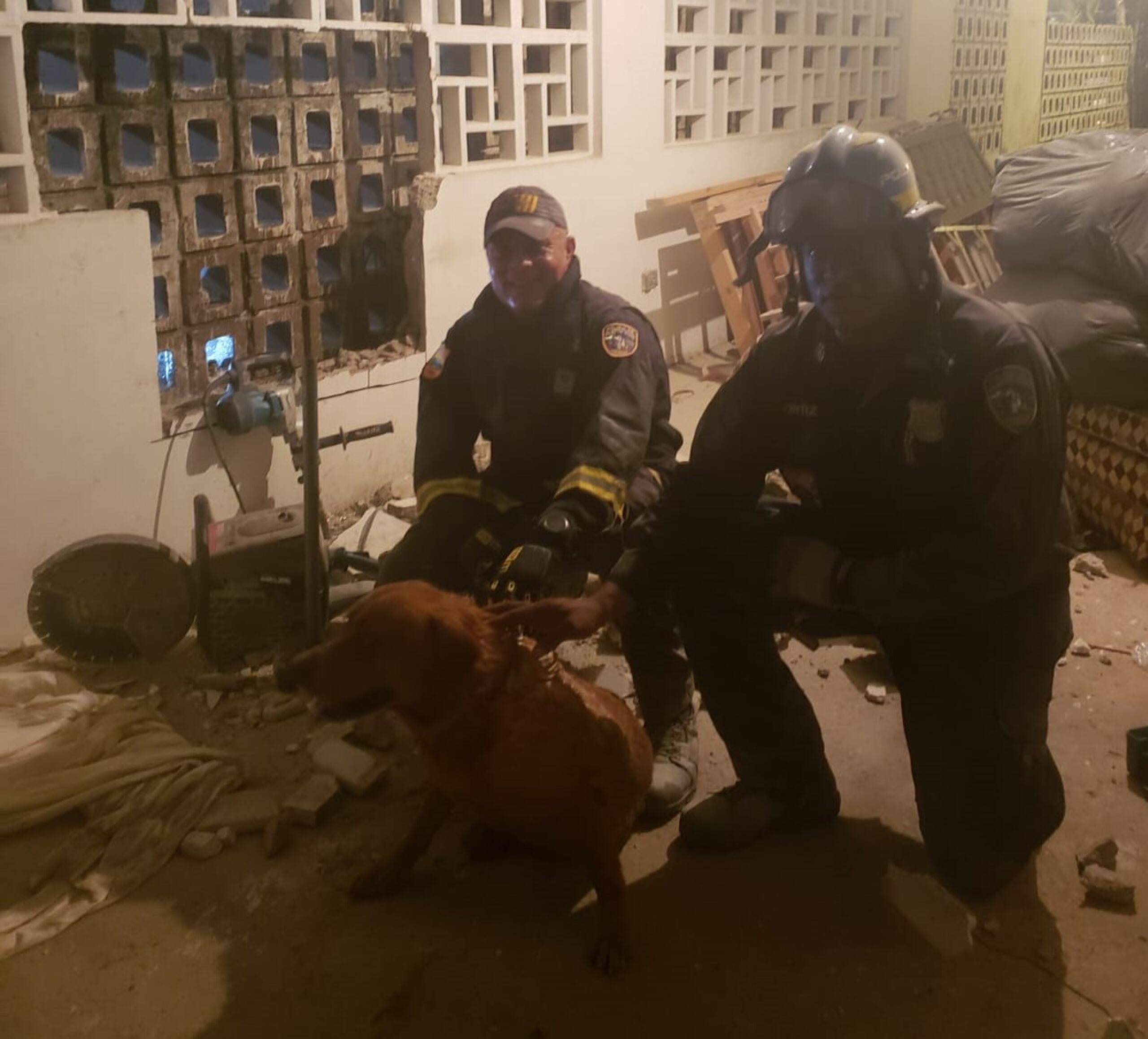 Tuvieron que romper un pedazo de la pared para poder liberar a la mascota.