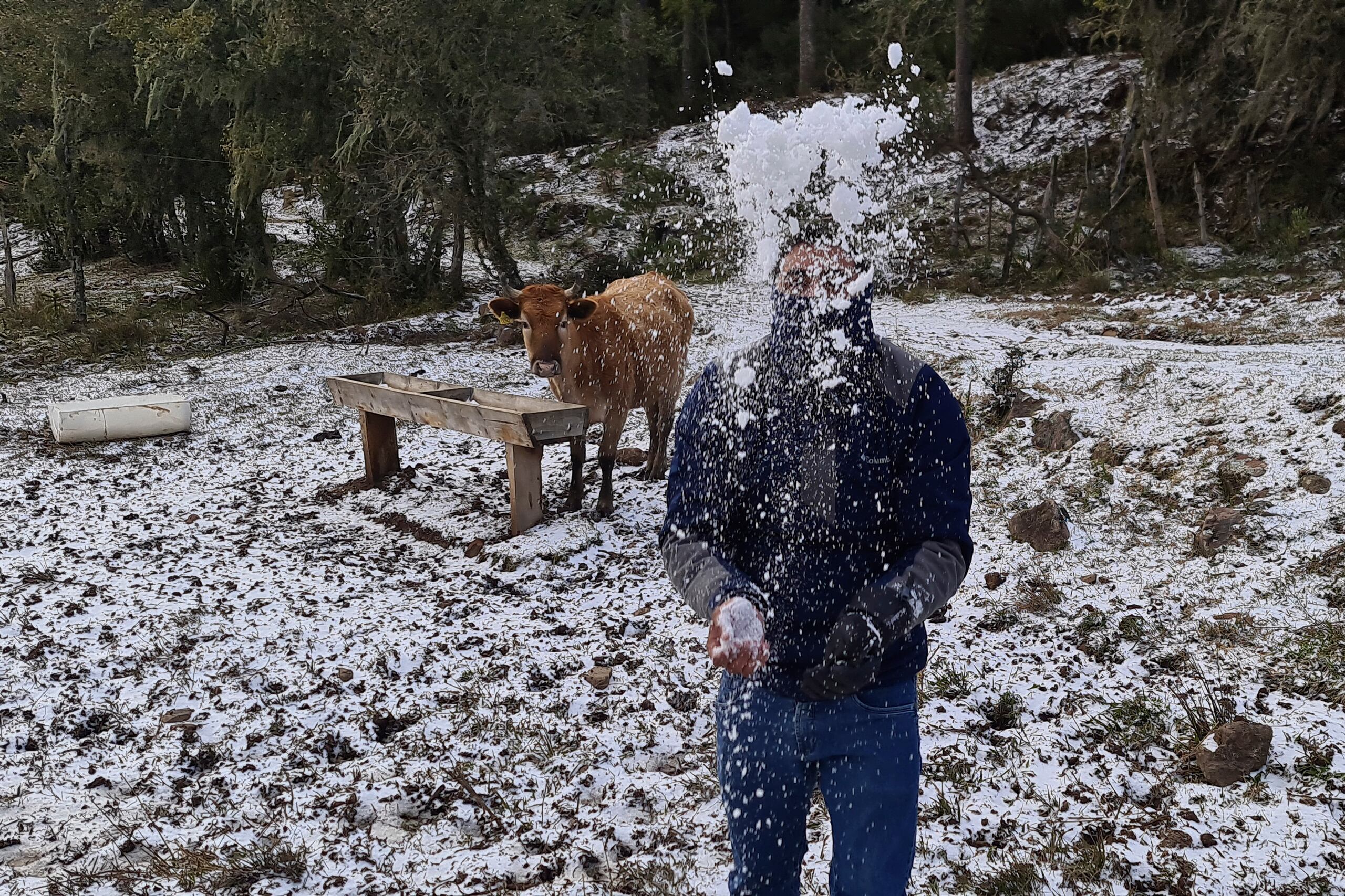 Se espera que las temperaturas sigan bajando, con más nieve posible.