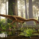 Descubren en Brasil uno de los antepasados más antiguos del Tyrannosaurus Rex 