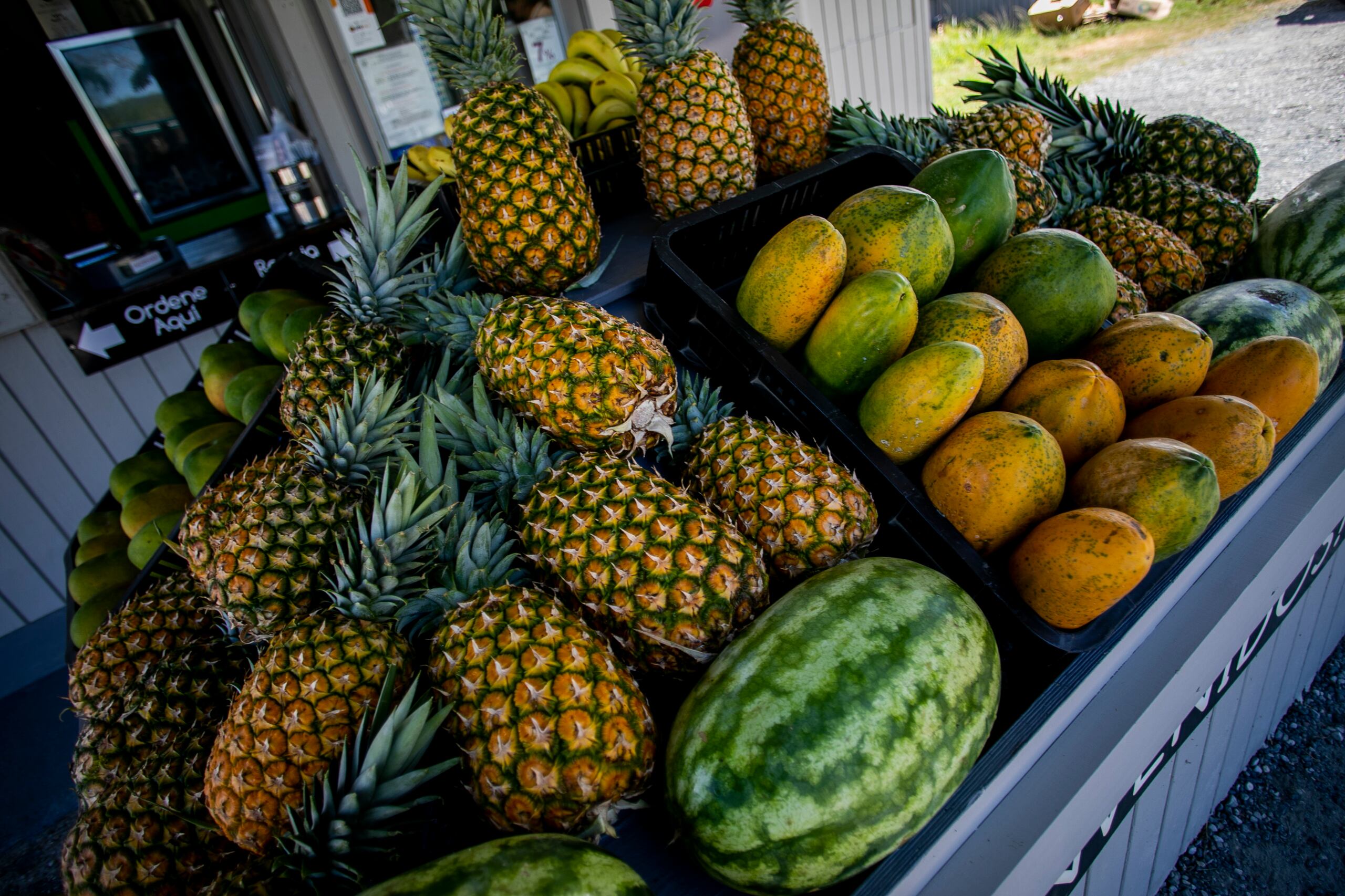 La Frutera, que se originó en el 2008 por el agrónomo Samuel Pérez, cuenta con alrededor de 150 empleados en varias partes de la Isla.