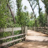 Reconstruirán el Paseo Tablado de Piñones en Loíza