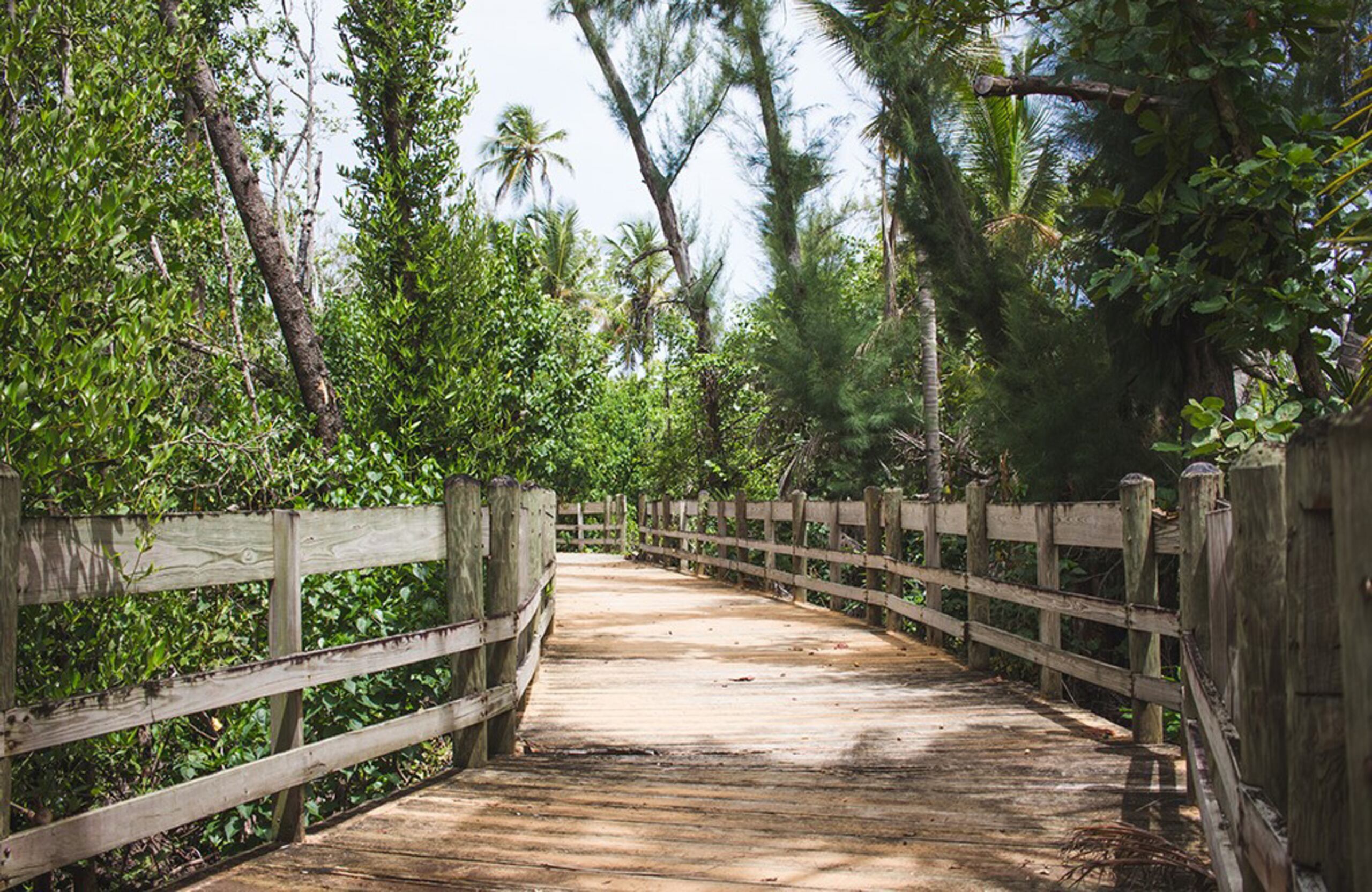 Paseo Tablado de Piñones en Loíza