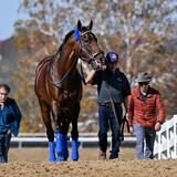 En Keeneland solo hablan de Flightline 