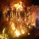 Bomberos atienden fuego forestal en Barceloneta