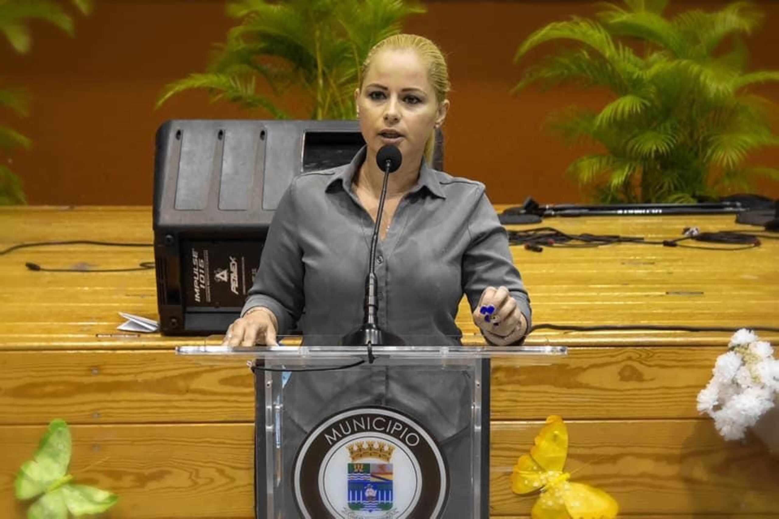 Jocelyne Rodriguez, aspirante al distrito 19 por el PPD.